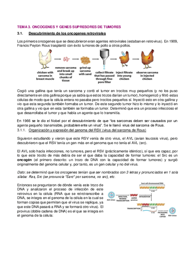 Miniatura del documento 3.-Oncogenes-y-genes-supresores-de-tumores.pdf