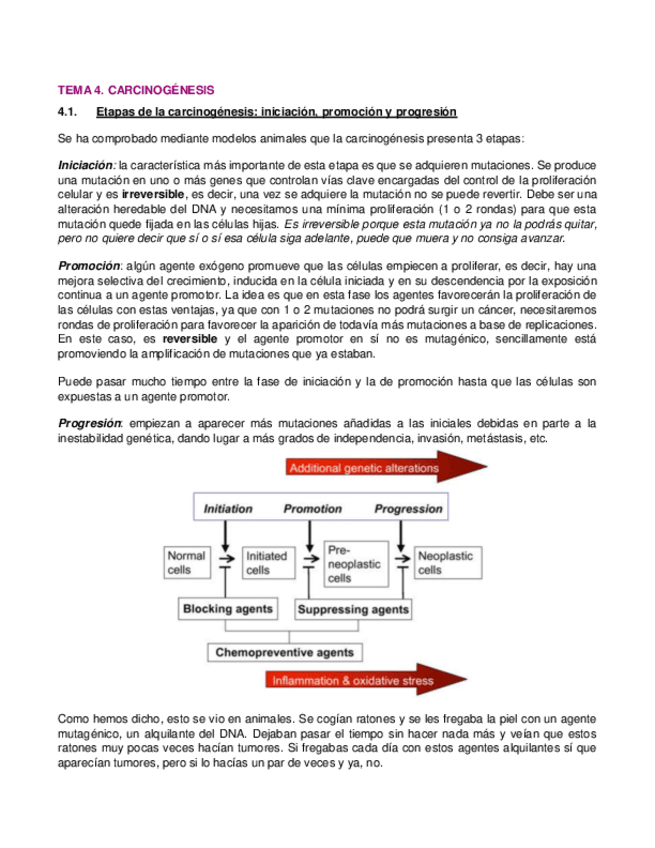 Miniatura del documento 4.-Carcinogenesis.pdf