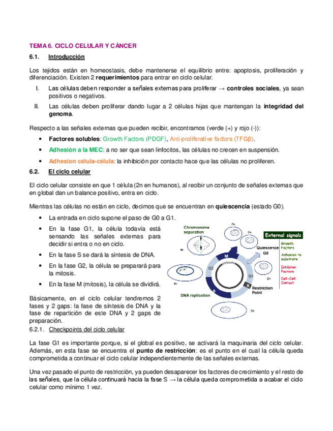 Miniatura del documento 6.-Ciclo-celular.pdf