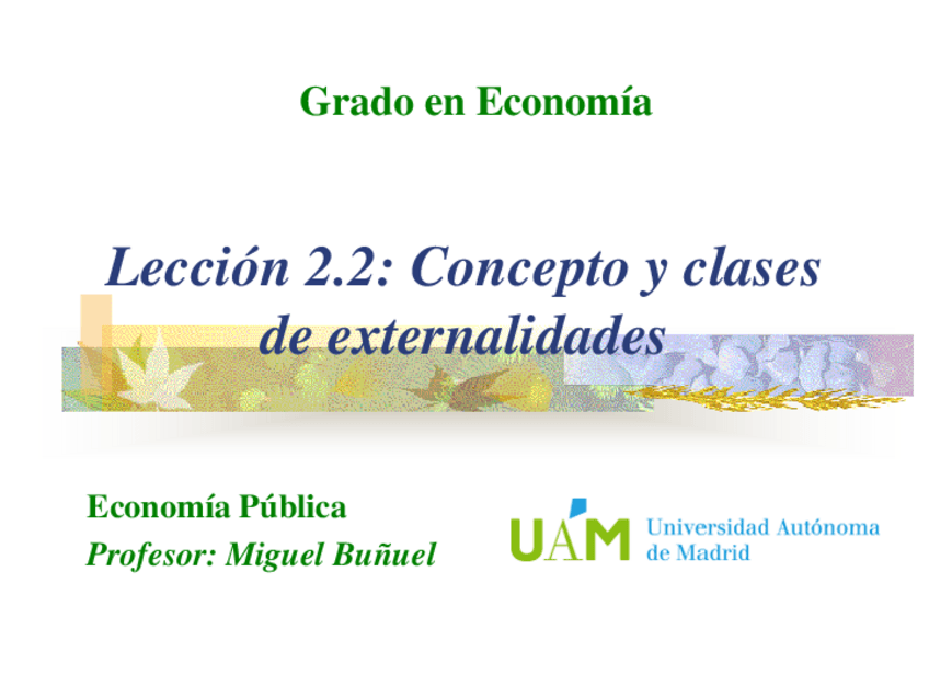 Miniatura del documento Leccion-2.2-Concepto-y-clases-de-externalidades.pdf