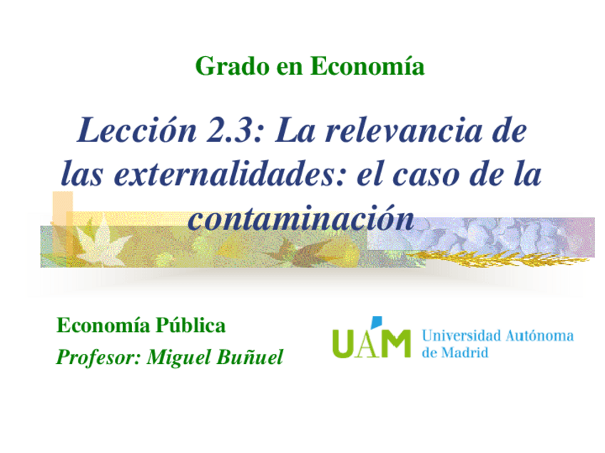 Miniatura del documento Leccion-2.3-La-relevancia-de-las-externalidades.pdf