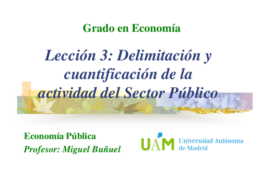 Miniatura del documento Leccion-3-El-tamano-del-SP.pdf