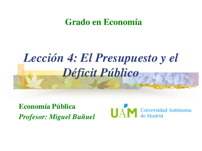 Miniatura del documento Leccion-4-El-presupuesto-y-el-DP.pdf