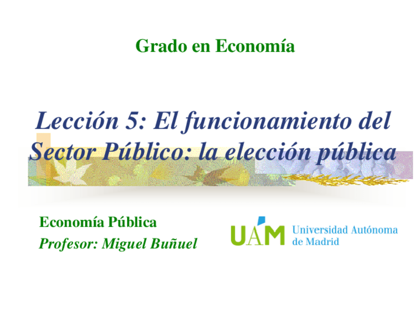 Miniatura del documento Leccion-5-La-eleccion-publica.pdf