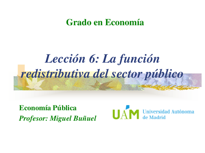 Miniatura del documento Leccion-6-La-funcion-redistributiva-del-sector-publico.pdf