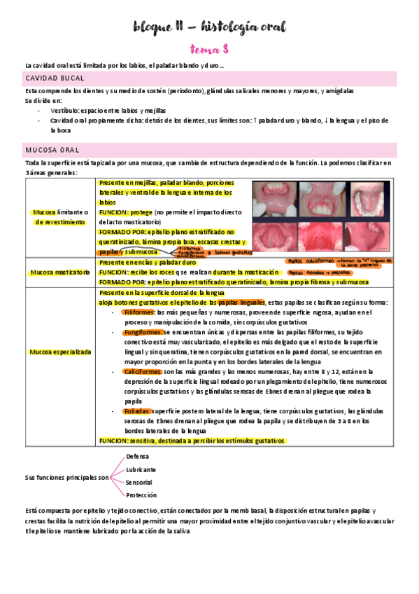 Miniatura del documento 2o-parcial.pdf