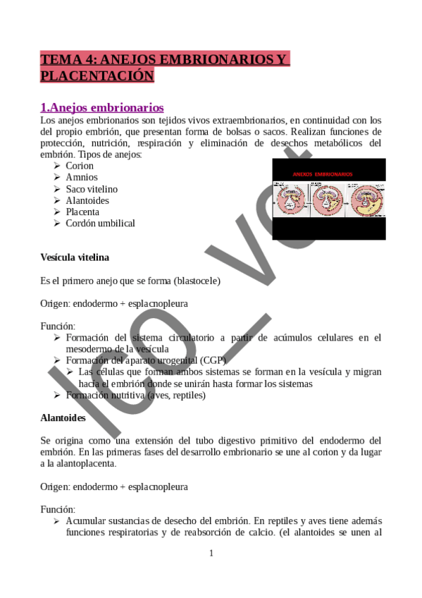 Miniatura del documento TEMA-4-Anejos-embrionarios-y-placentacion.pdf