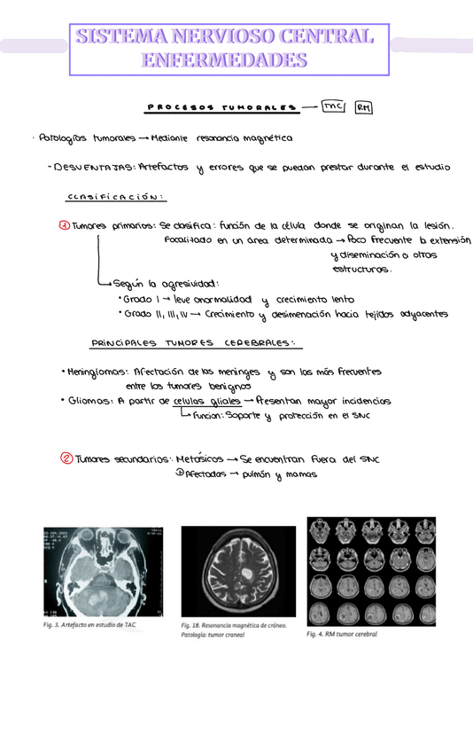 Miniatura del documento ANATOMIA-APUNTES-TEMA-10-ENFERMEDADES-SNC.pdf