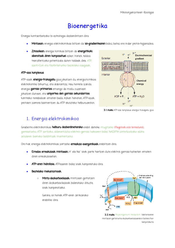 Miniatura del documento 3.-Bioenergetika.pdf