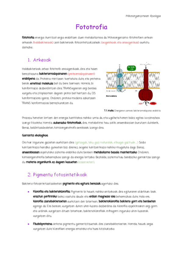 Miniatura del documento 7.-Fototrofia.pdf