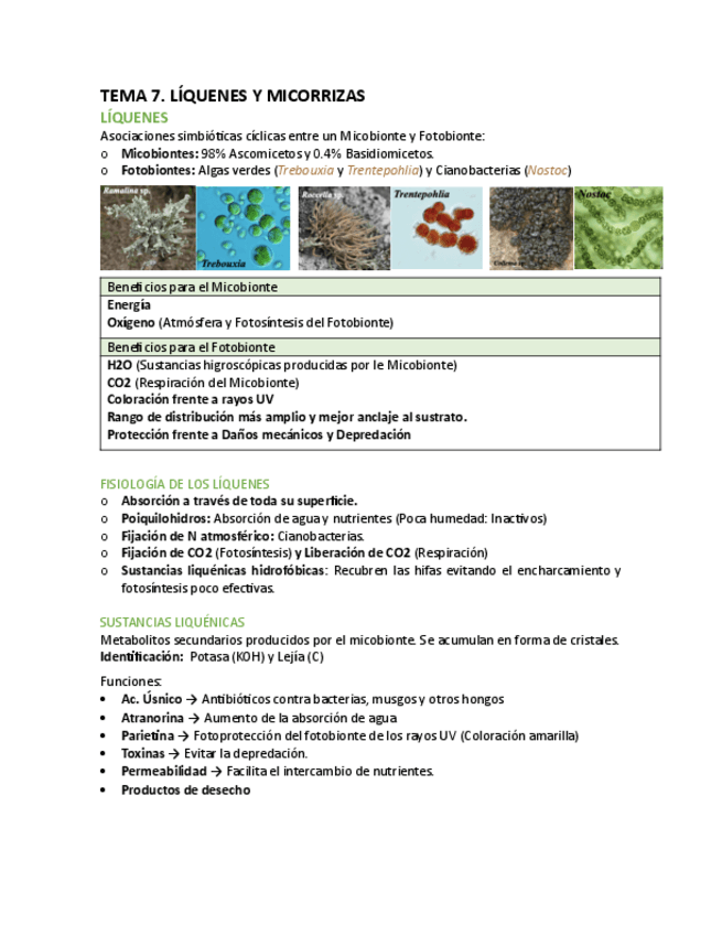 Miniatura del documento T7-Bot.pdf
