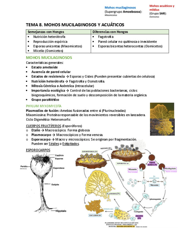 Miniatura del documento T8-Bot.pdf