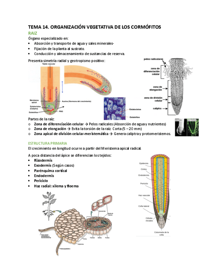 Miniatura del documento T14-15-16-Bot.pdf