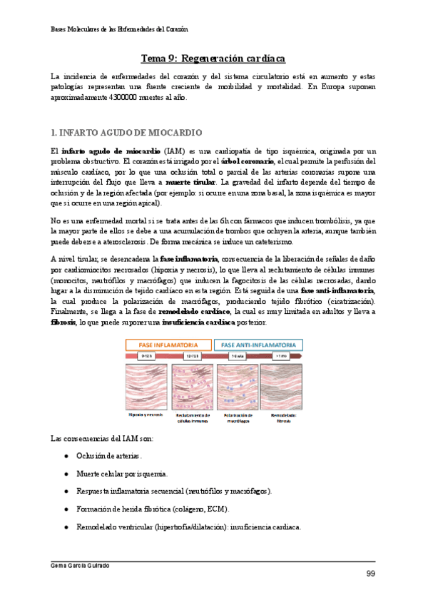 Miniatura del documento TEMA-9-REGENERACION-CARDIACA-BASES-MOLECULARES-DE-LAS-ENFERMEDADES-DEL-CORAZON.pdf