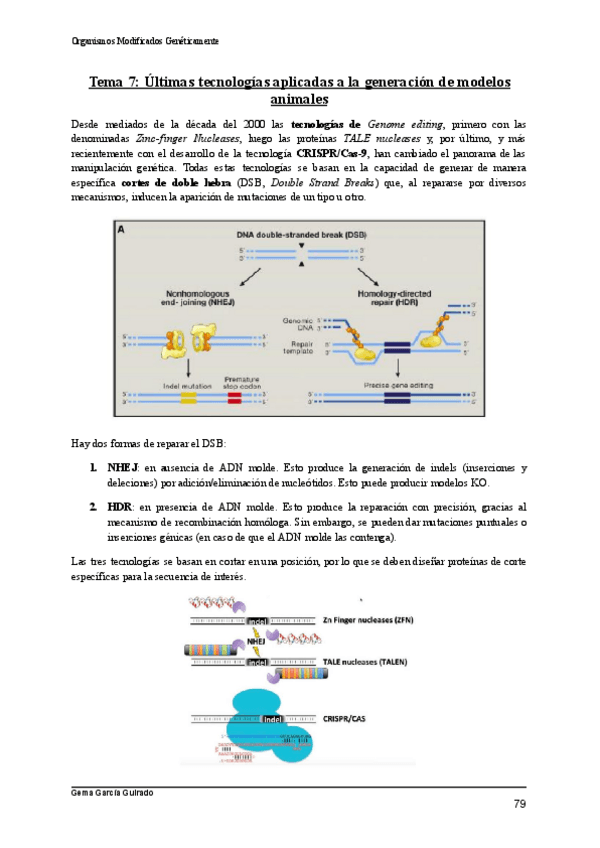Miniatura del documento TEMA-7-ULTIMAS-TECNOLOGIAS-ORGANISMOS-MODIFICADOS-GENETICAMENTE.pdf