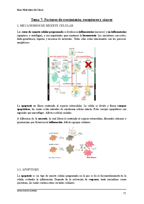 Miniatura del documento TEMA-7-FACTORES-DE-CRECIMIENTO-Y-RECEPTORES-BASES-MOLECULARES-DEL-CANCER.pdf