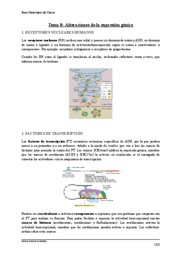 Miniatura del documento TEMA-8-ALTERACIONES-DE-LA-EXPRESION-GENICA-BASES-MOLECULARES-DEL-CANCER.pdf