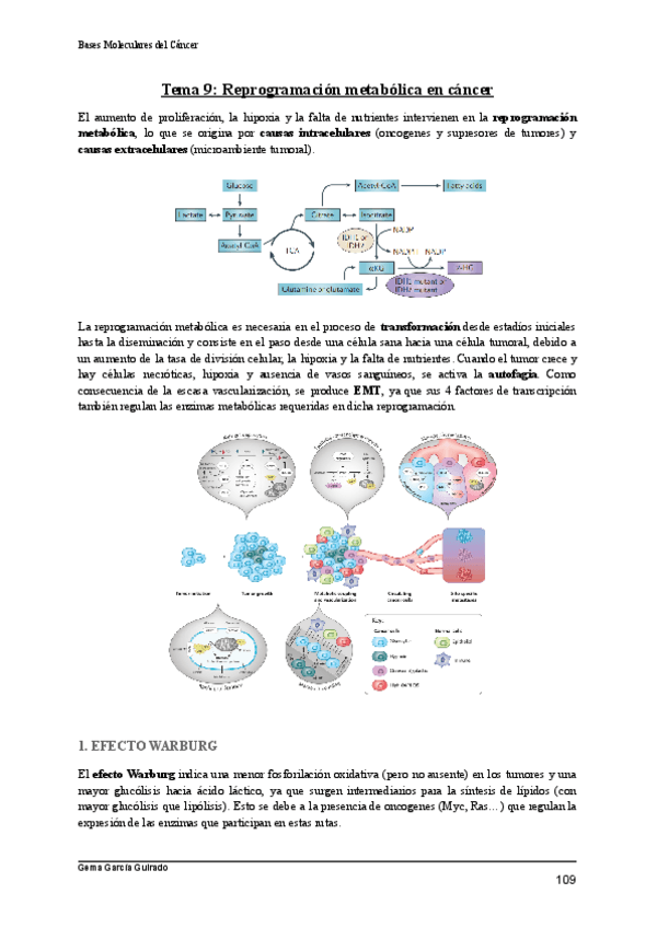 Miniatura del documento TEMA-9-METABOLISMO-BASES-MOLECULARES-DEL-CANCER.pdf
