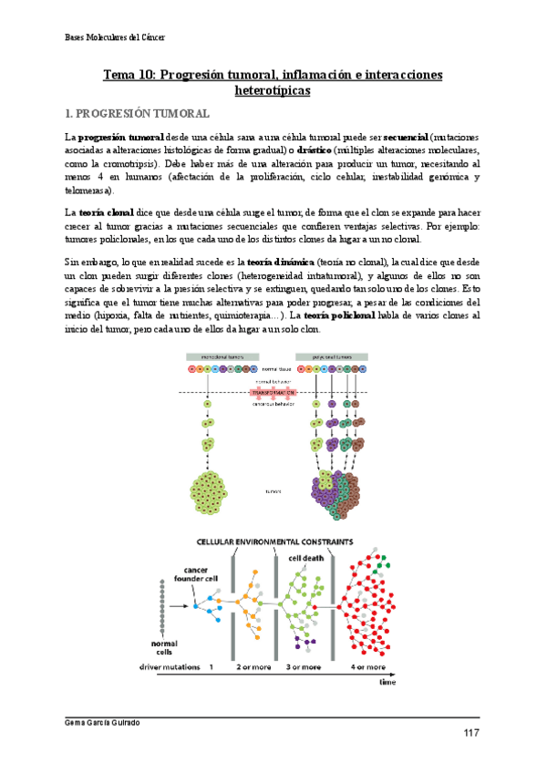 Miniatura del documento TEMA-10-PROGRESION-TUMORAL-BASES-MOLECULARES-DEL-CANCER.pdf
