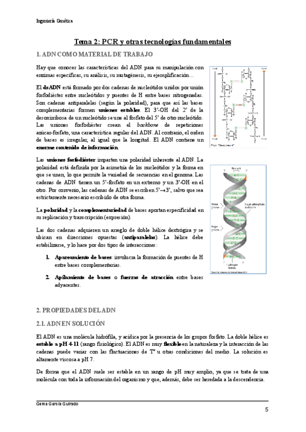 Miniatura del documento TEMA-2-PCR-Y-TECNOLOGIAS-FUNDAMENTALES-INGENIERIA-GENETICA-1.pdf