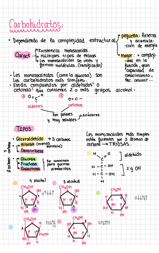 Miniatura del documento carbohidratos.pdf