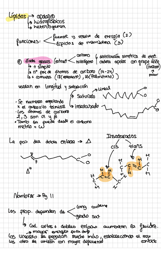 Miniatura del documento Lipidos.pdf