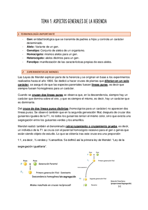 Miniatura del documento GENETICA-T.1.pdf