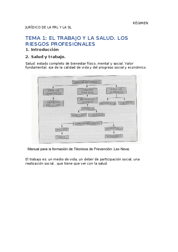 Miniatura del documento REGIMEN-JURIDICO-DE-LA-PRL-Y-LA-SL.odt