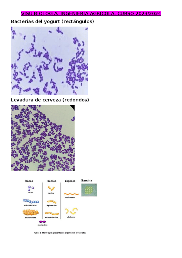Miniatura del documento VISU-BIOLOGIA.docx