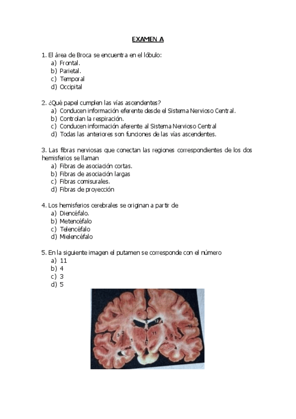 Miniatura del documento Examenes-Tipo-Test-Anatomia.pdf