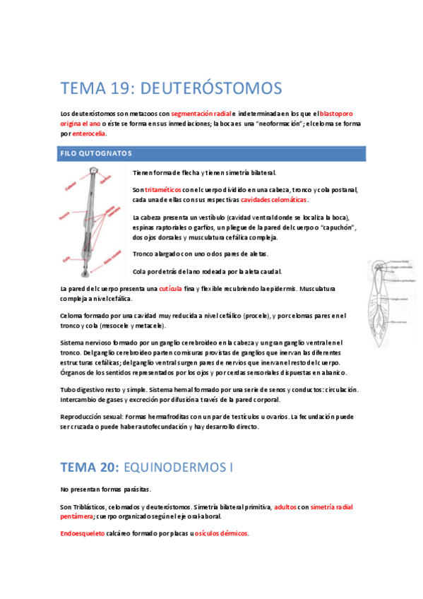 Miniatura del documento ResumenParcial4.pdf