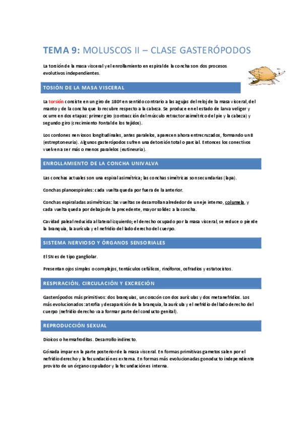 Miniatura del documento ResumenParcial2.pdf