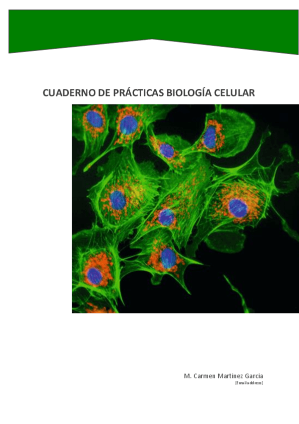 Miniatura del documento Cuaderno-Prácticas-aco.pdf