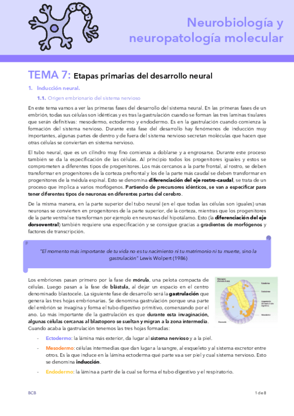 Miniatura del documento T7-NEURO.pdf