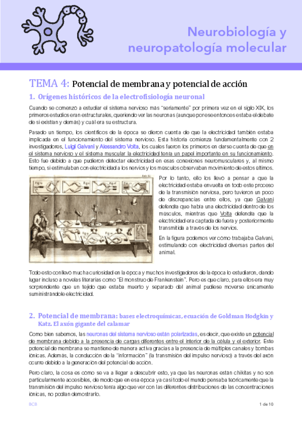 Miniatura del documento T4-NEURO.pdf