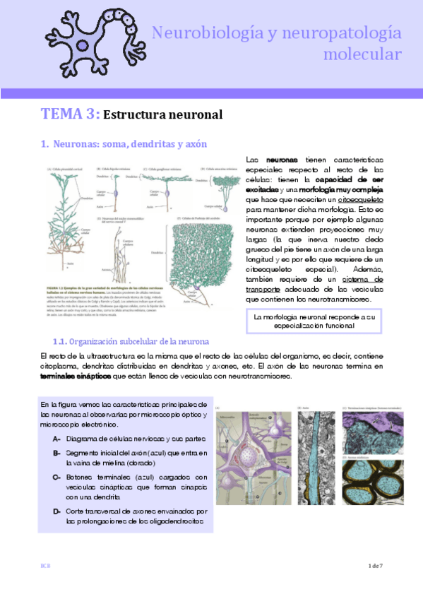 Miniatura del documento T3-NEURO.pdf