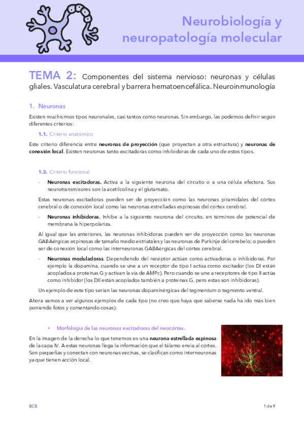Miniatura del documento T2-NEURO.pdf