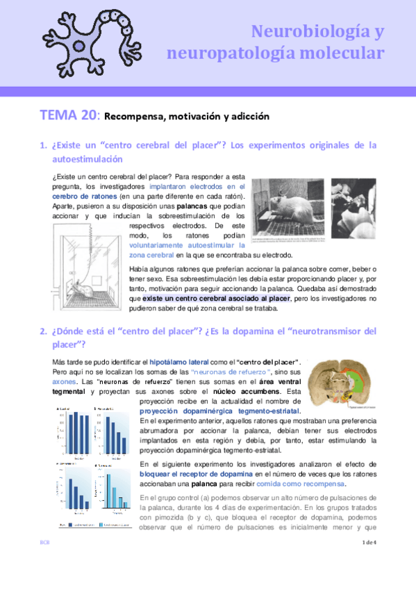 Miniatura del documento T20-NEURO.pdf