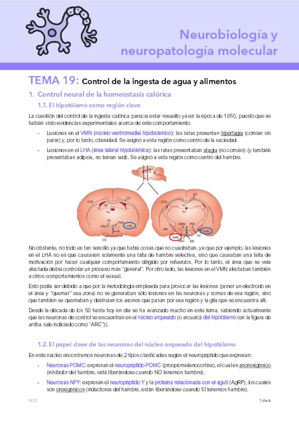Miniatura del documento T19-NEURO.pdf