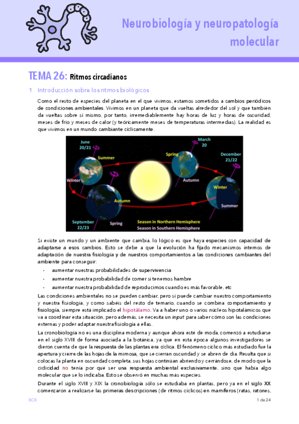 Miniatura del documento T26-NEURO.pdf