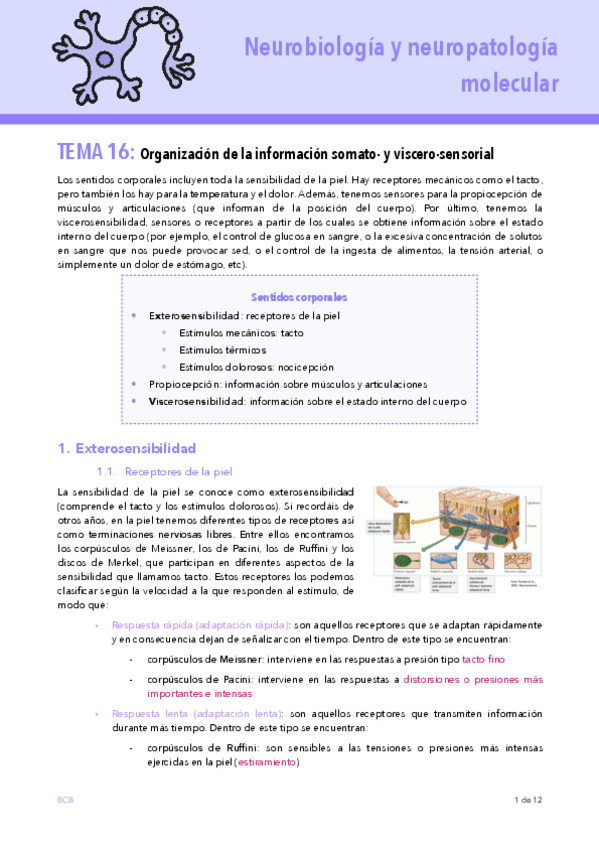 Miniatura del documento T16-NEURO.pdf