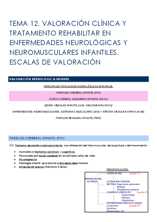 Miniatura del documento TEMA-12-VALORACION-CLINICA-Y-TRATAMIENTO-REHABILITAR-EN-ENFERMEDADES-NEUROLOGICAS-Y-NEUROMUSCULARES-INFANTILES.-ESCALAS-DE-VALORACION.pdf