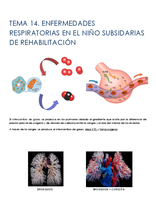 Miniatura del documento TEMA-14-ENFERMEDADES-RESPIRATORIAS-EN-EL-NINO-SUBSIDARIAS-DE-REHABILITACION.pdf