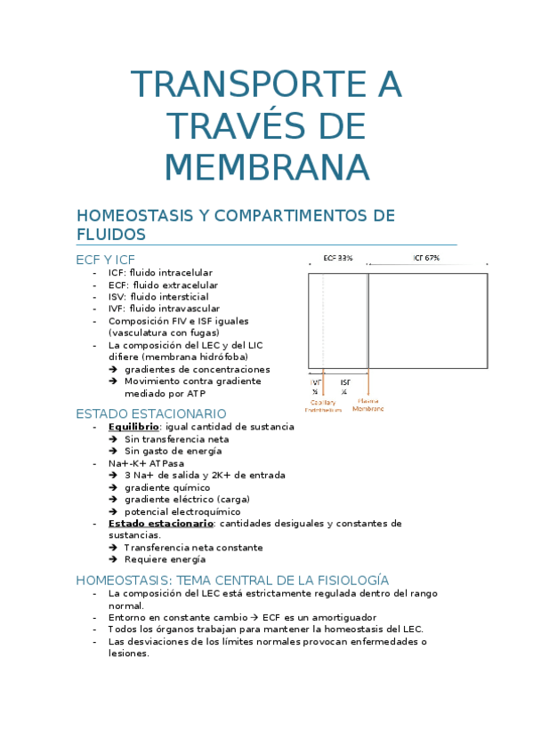 Miniatura del documento homeostasis-y-compartimentos-de-fluidos.docx
