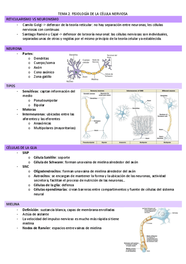 Miniatura del documento TEMA-2.pdf