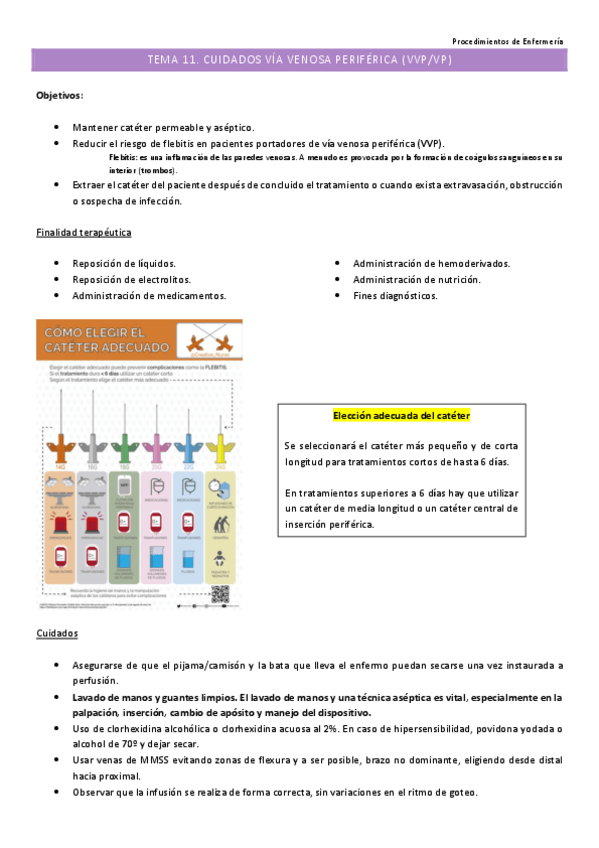 Miniatura del documento PETema-11.pdf