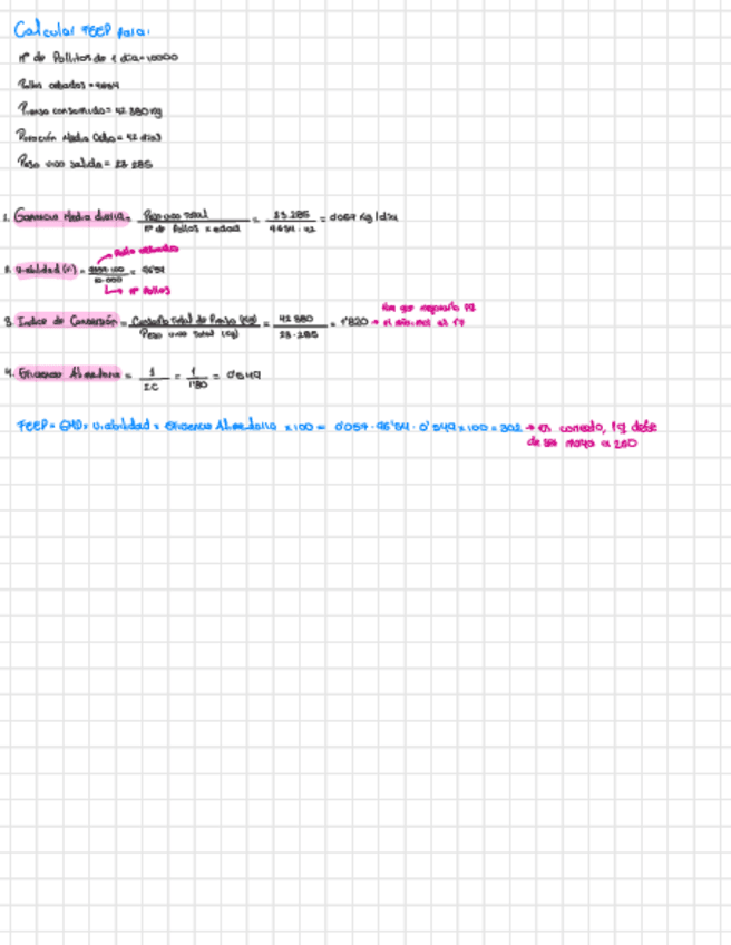 Miniatura del documento Problema-Pollos-De-Cebo.pdf