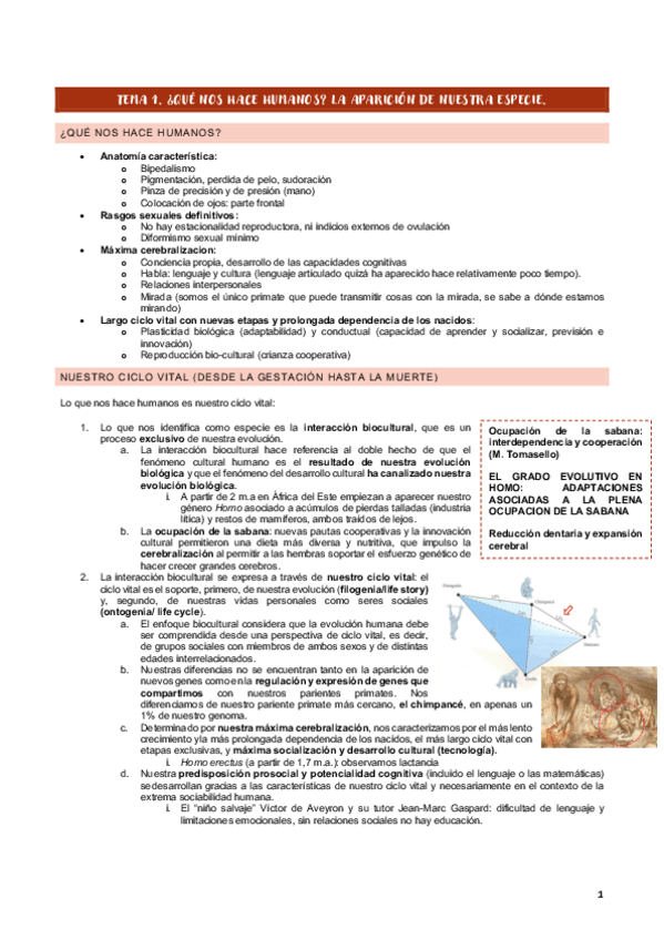 Miniatura del documento TEMA-1-ANTROPOLOGIA.pdf