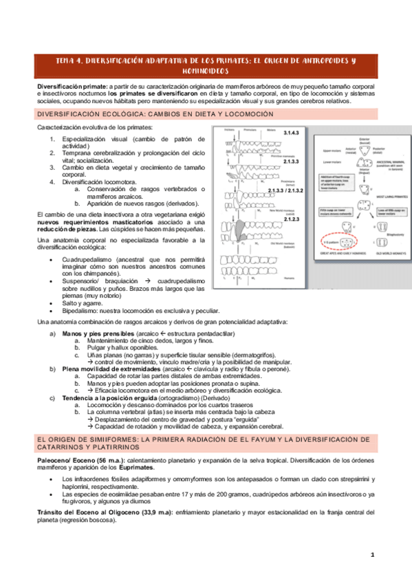 Miniatura del documento TEMA-4-ANTROPOLOGIA.pdf
