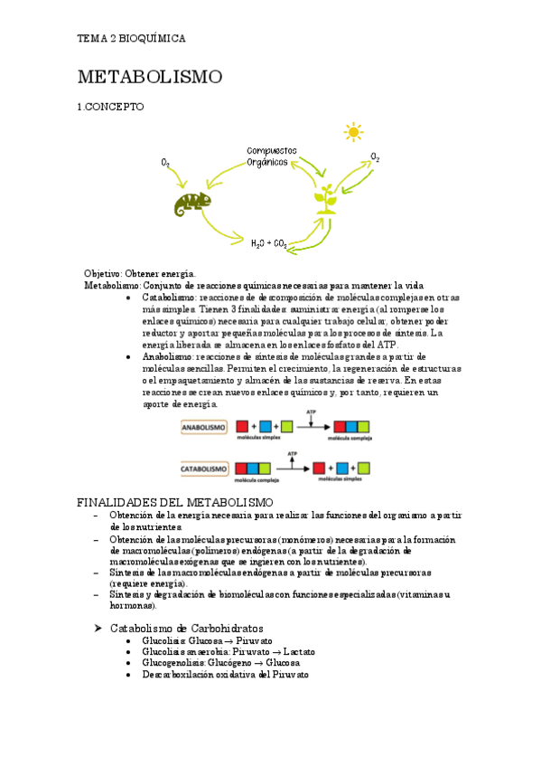 Miniatura del documento Tema-2-Bioquimica-Metabolismo.pdf